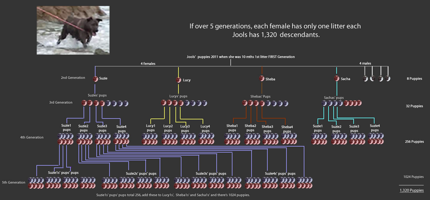 Better case scenario